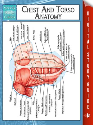 cover image of Chest and Torso Anatomy